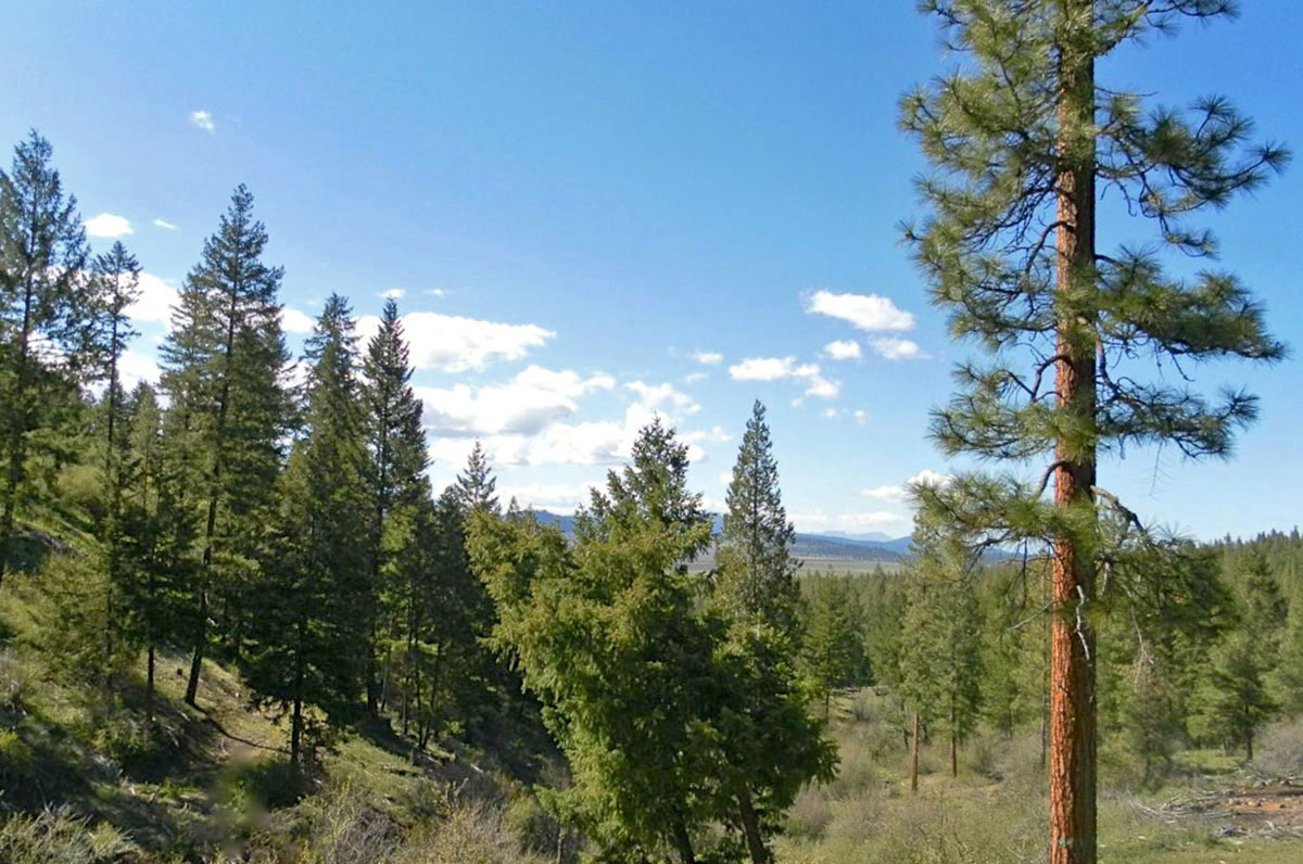 South Running Y Ranch property picture 21 of 21