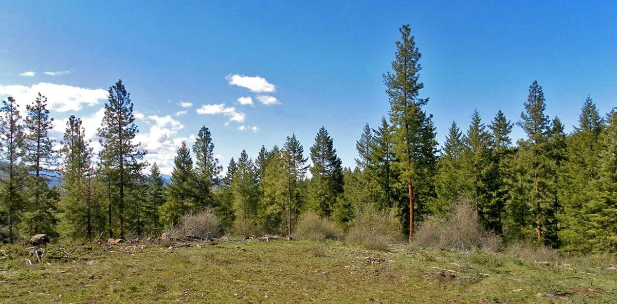 South Running Y Ranch property picture 18 of 21