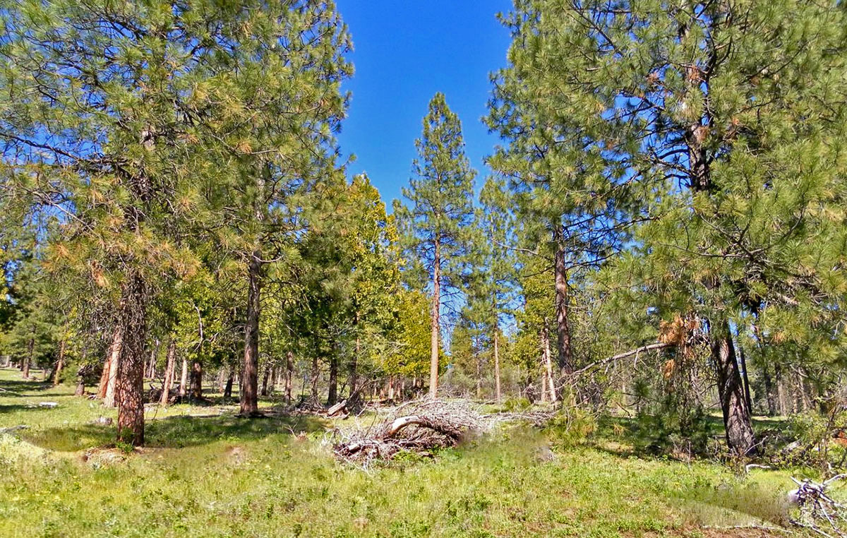 South Running Y Ranch Sold Oregon Hall and Hall