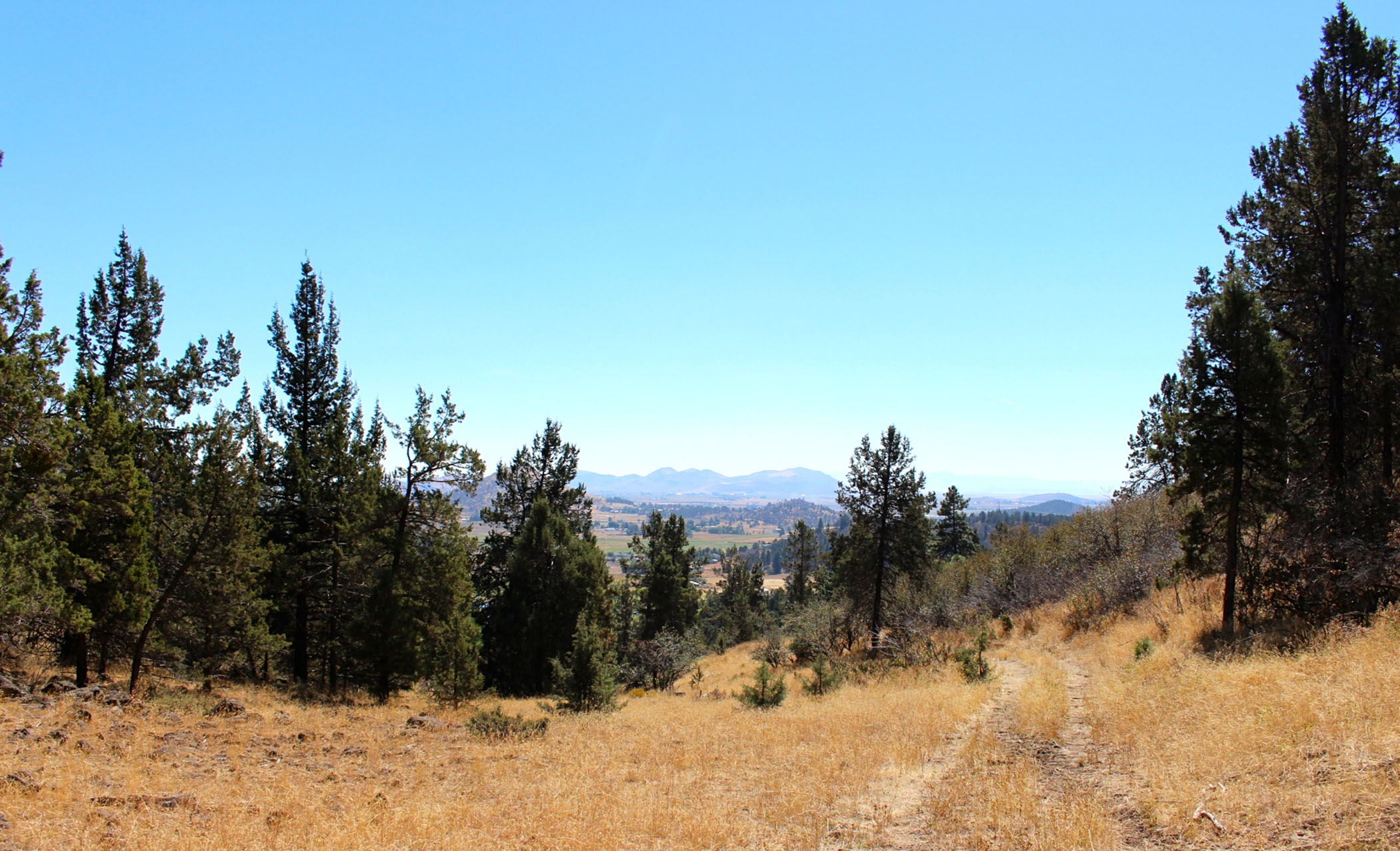 South Running Y Ranch property picture 13 of 21