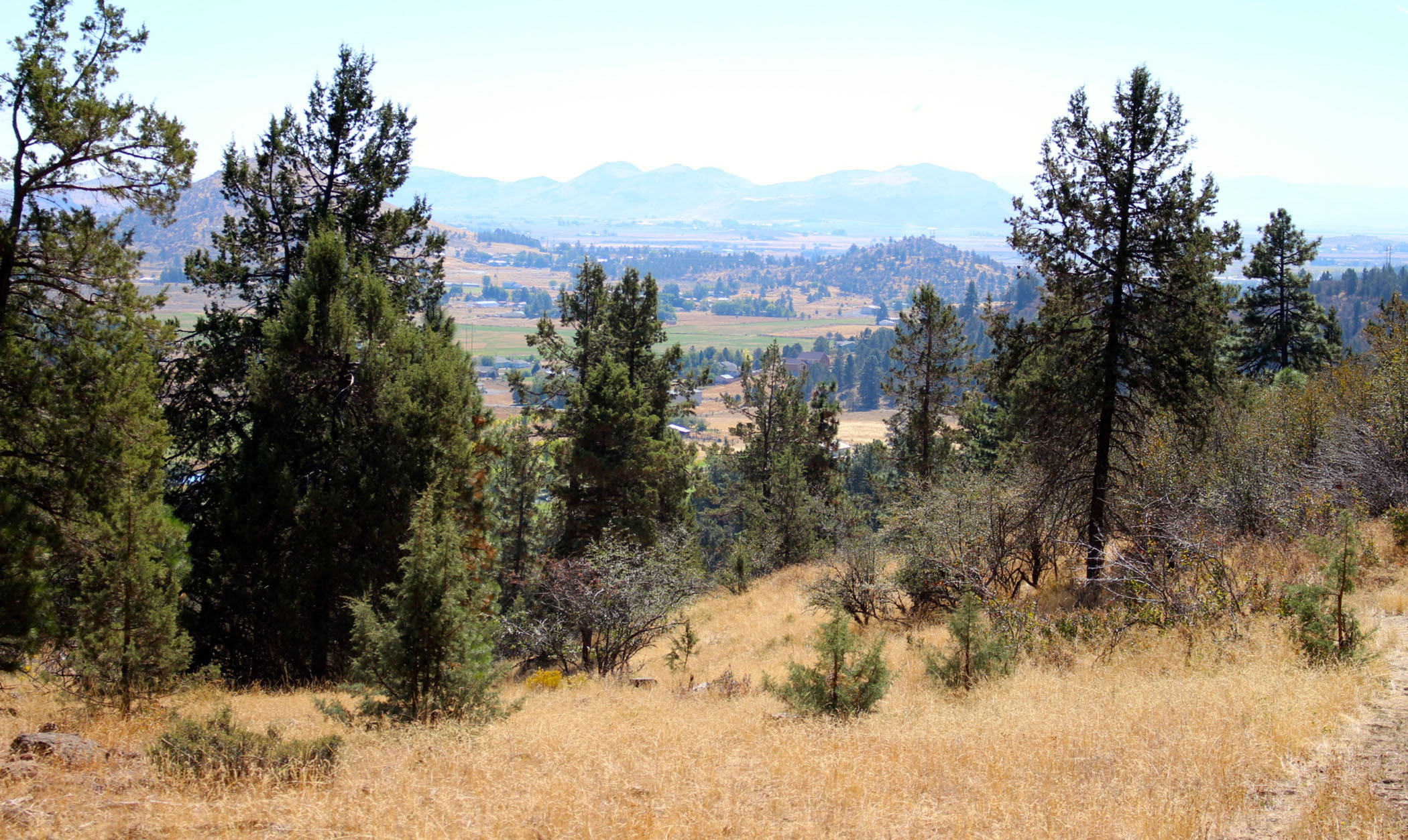 South Running Y Ranch property picture 12 of 21