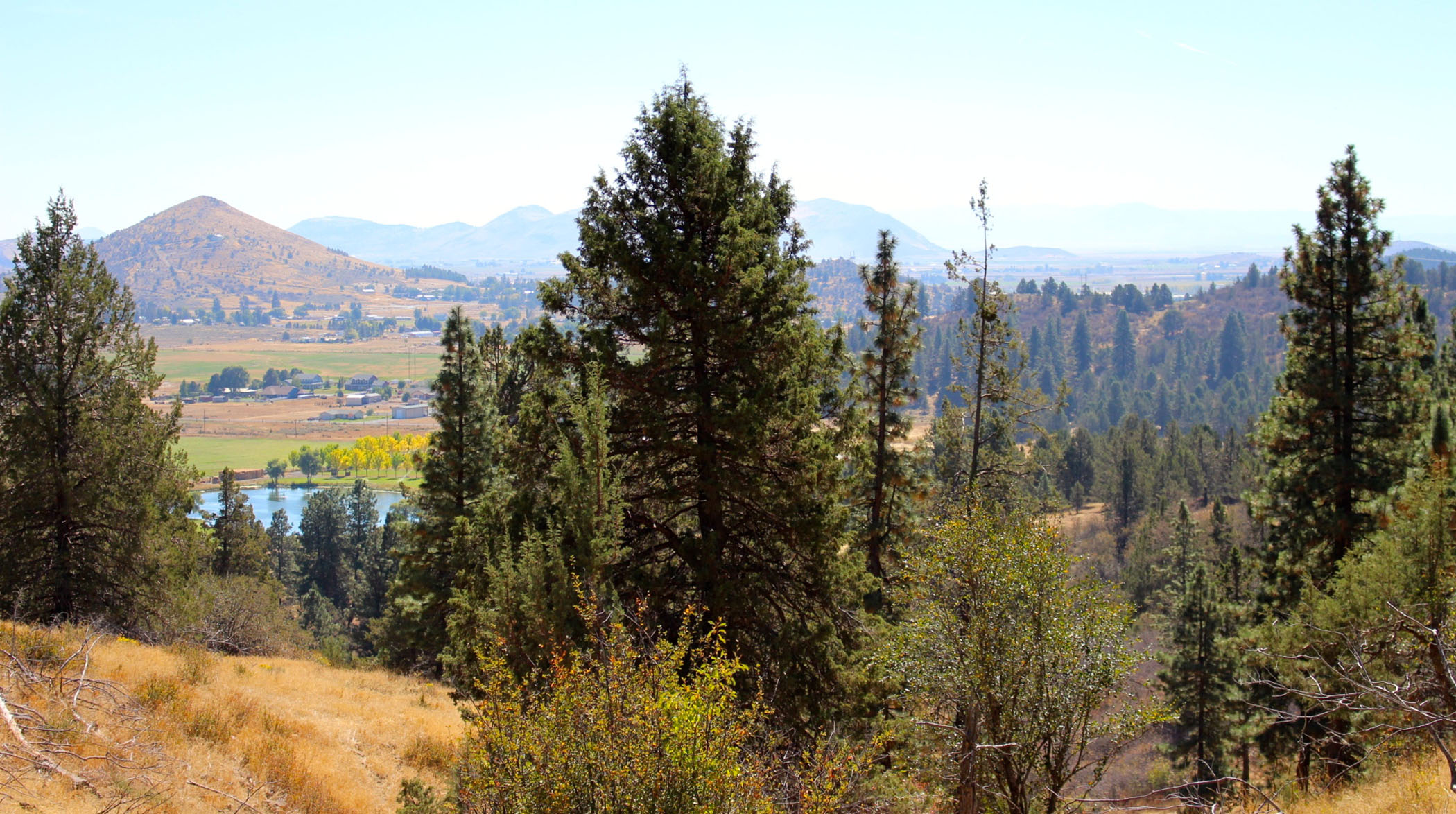 South Running Y Ranch property picture 11 of 21