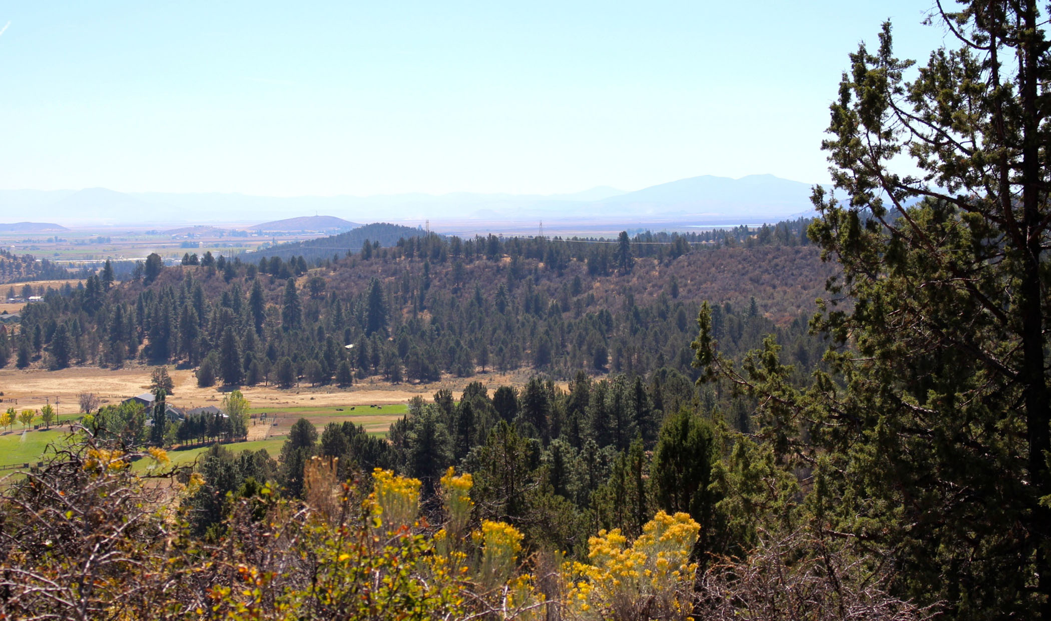 South Running Y Ranch property picture 8 of 21