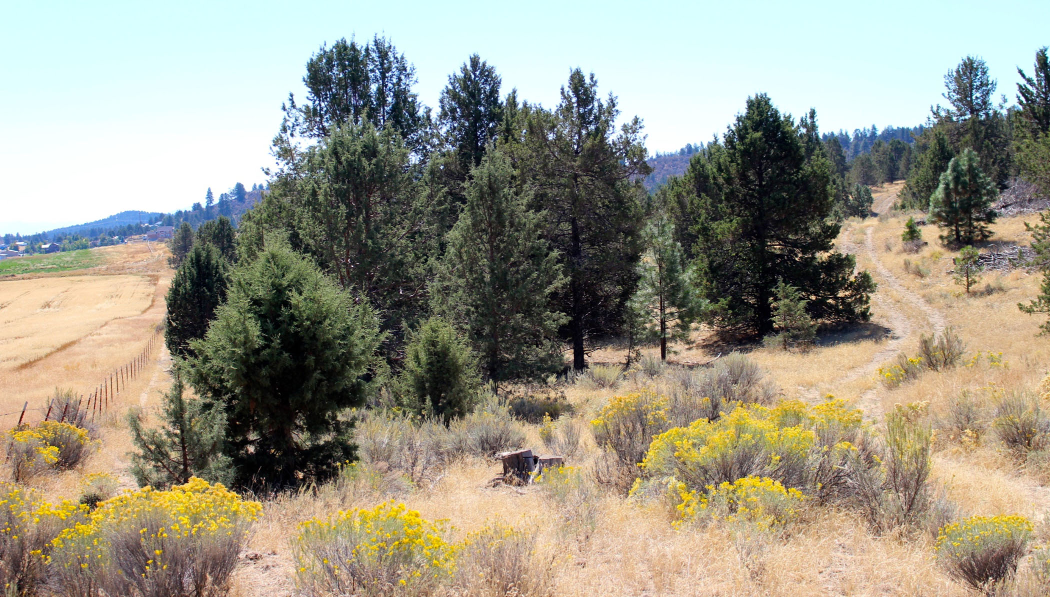 South Running Y Ranch property picture 7 of 21