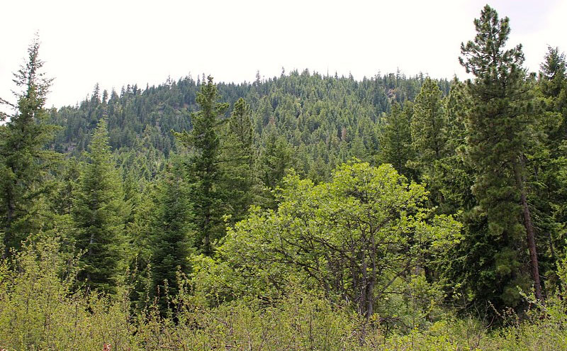 West Klamath Ranch property picture 9 of 11