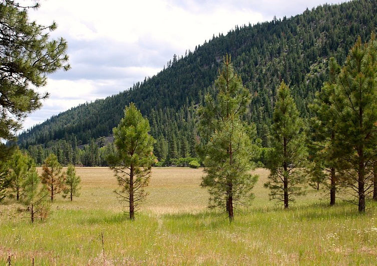 West Klamath Ranch property picture 8 of 11