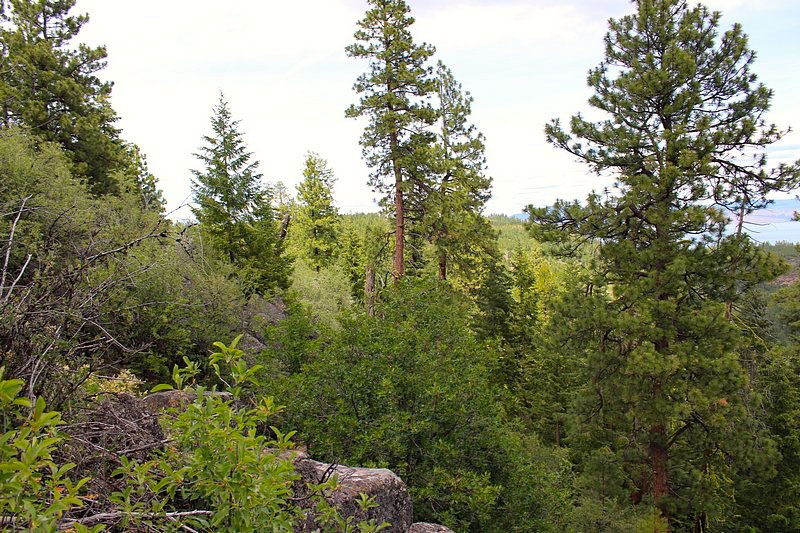 West Klamath Ranch property picture 4 of 11