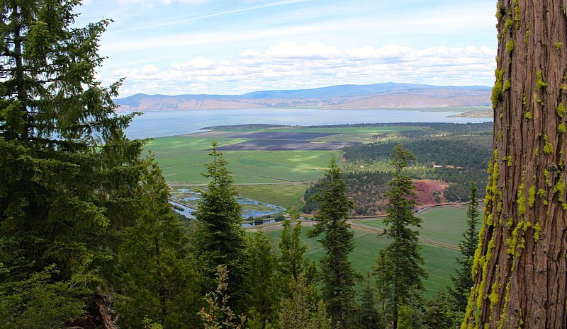 West Klamath Ranch property picture 3 of 11