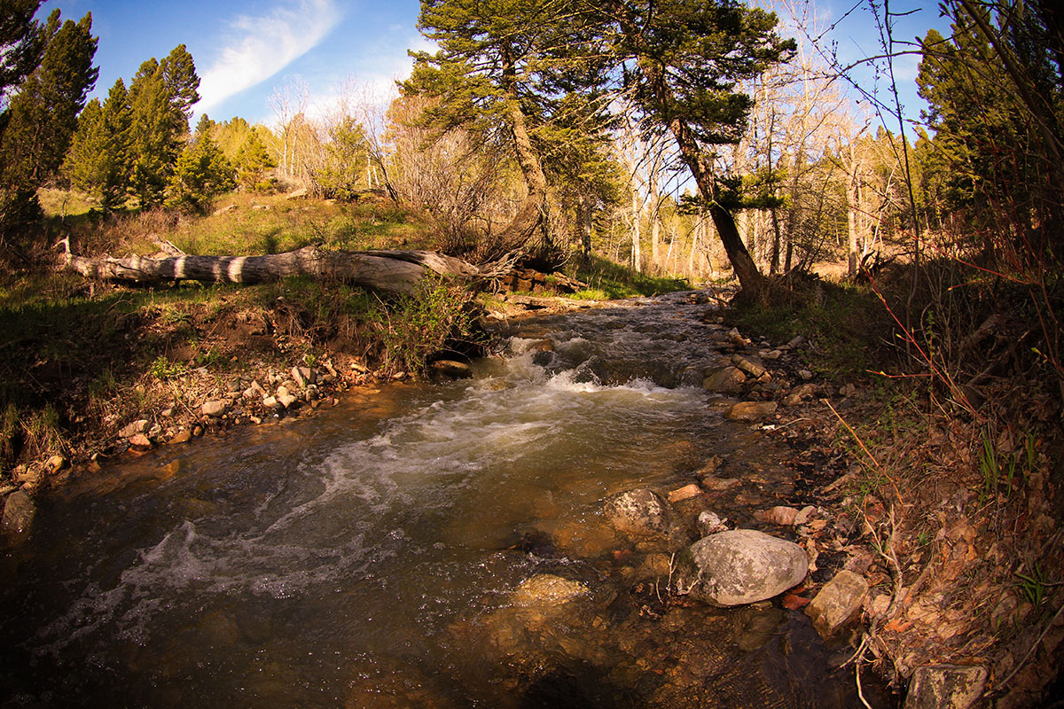 Elk Peak Ranch property picture 10 of 10