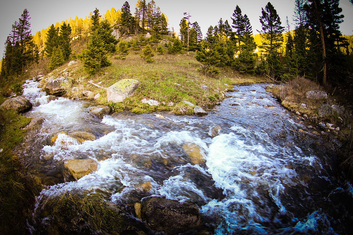 Elk Peak Ranch property picture 8 of 10