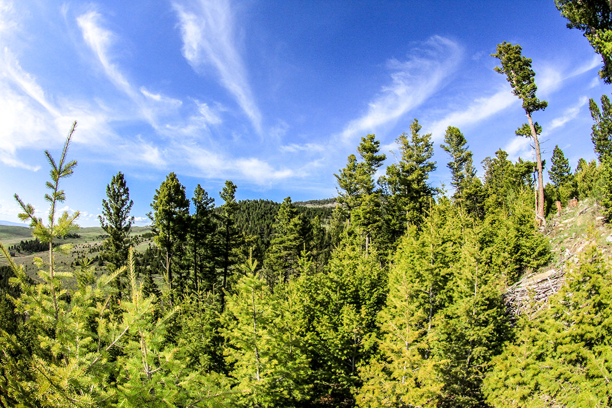 Elk Peak Ranch property picture 4 of 10