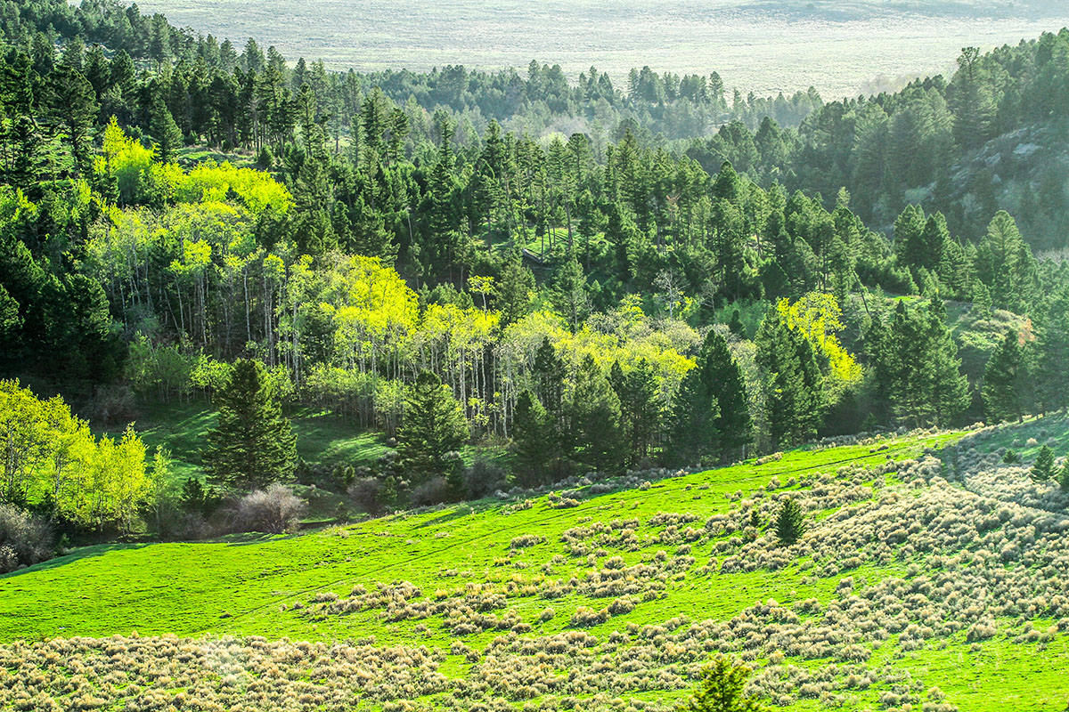 Elk Peak Ranch property picture 2 of 10