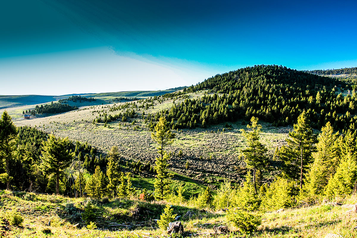 Elk Peak Ranch property picture 1 of 10