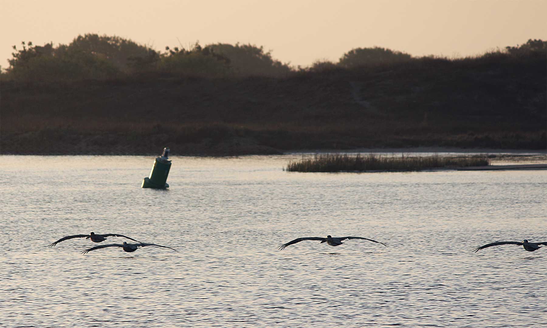 Costa Grande Ranch property picture 9 of 19