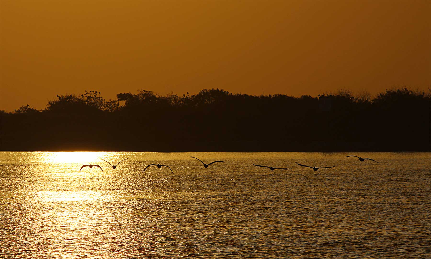 Costa Grande Ranch property picture 12 of 19