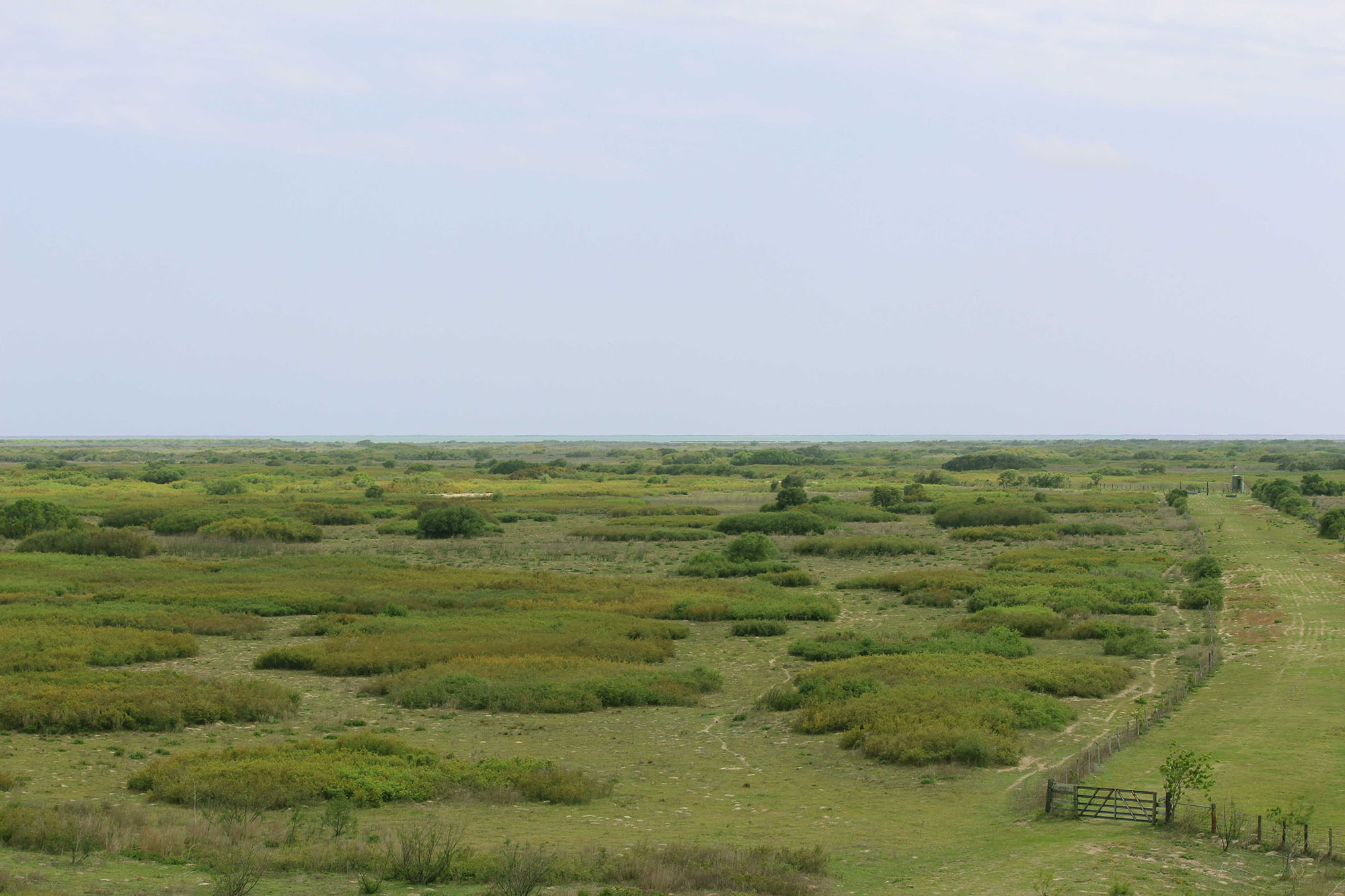 Costa Grande Ranch property picture 16 of 19