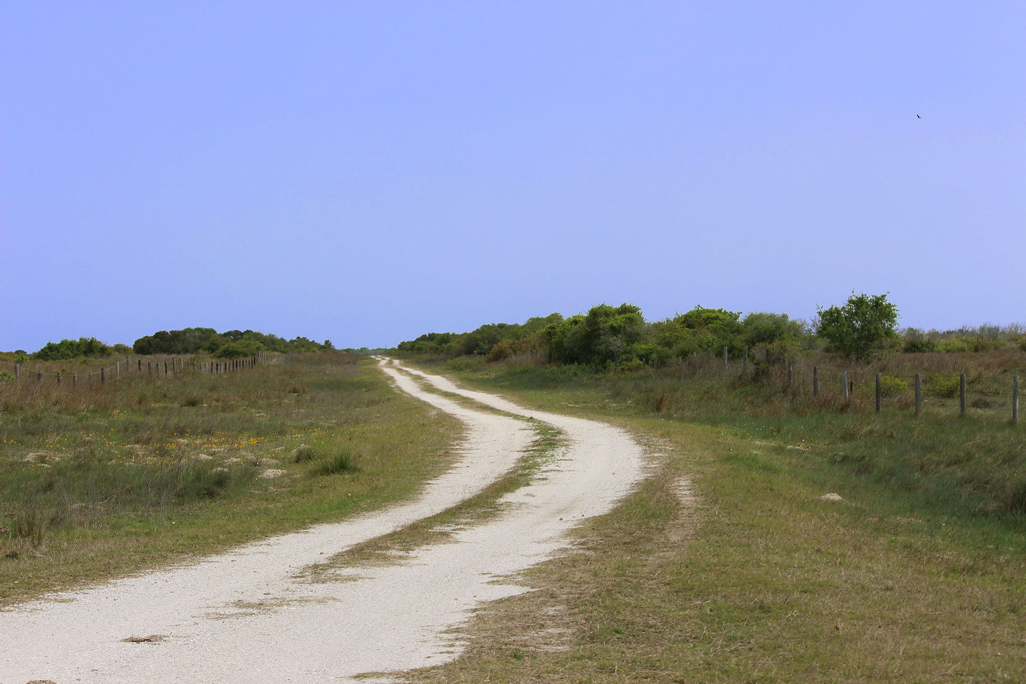 Costa Grande Ranch property picture 3 of 19
