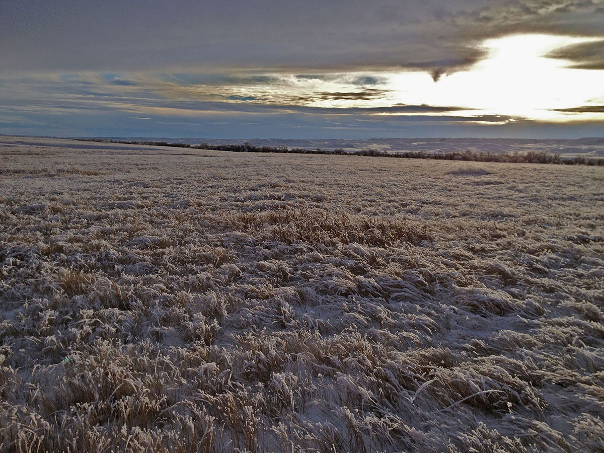 Prairie Creek Ranch property picture 33 of 35