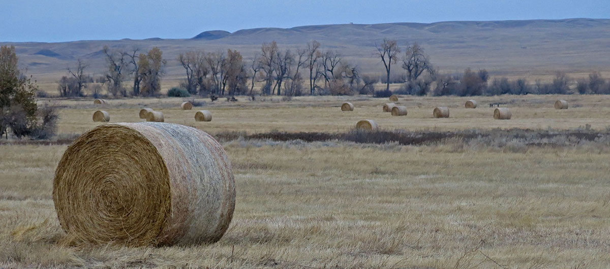 Prairie Creek Ranch property picture 35 of 35