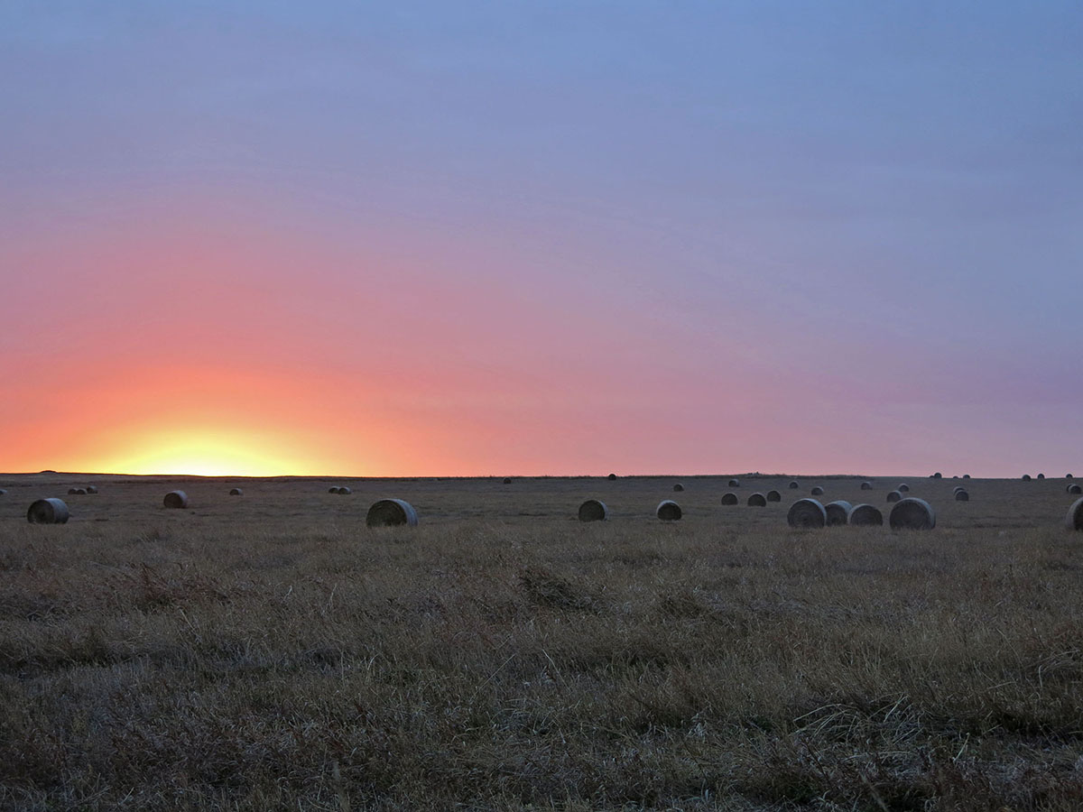 Prairie Creek Ranch property picture 32 of 35