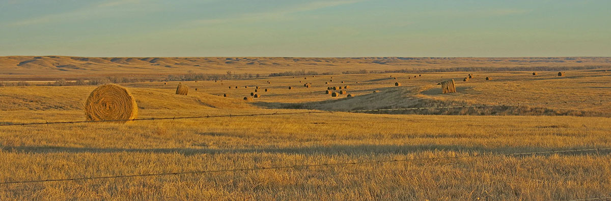 Prairie Creek Ranch property picture 28 of 35