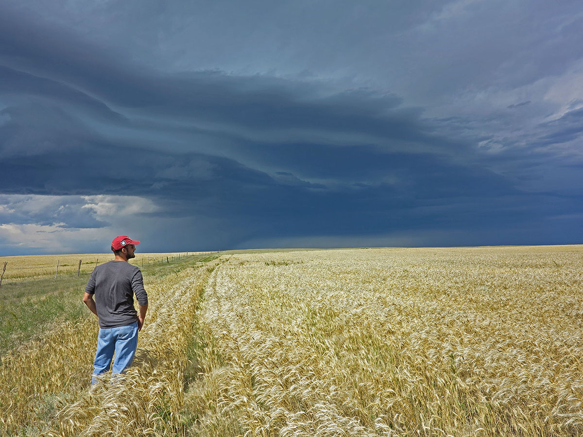 Prairie Creek Ranch property picture 25 of 35