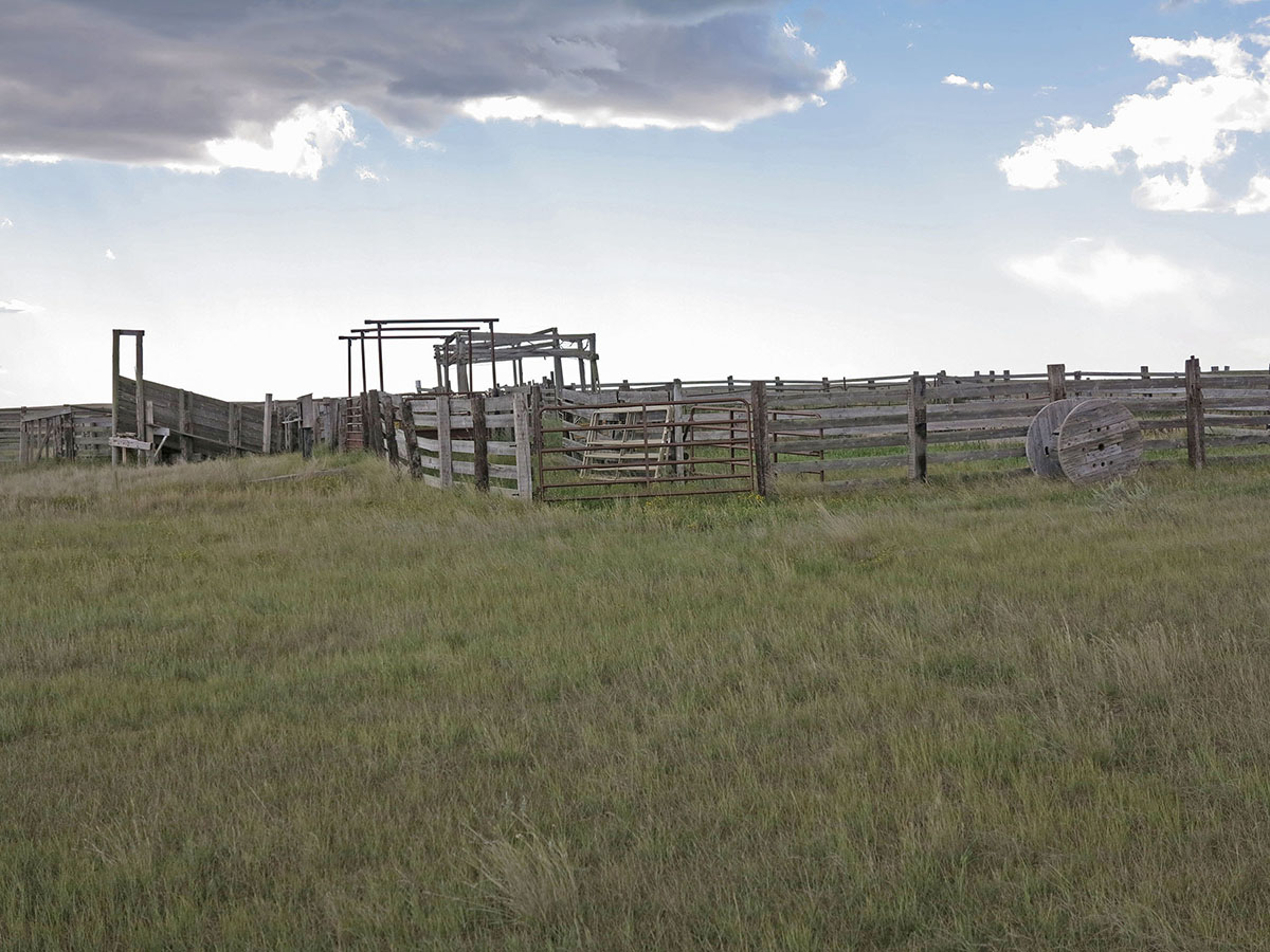 Prairie Creek Ranch property picture 23 of 35