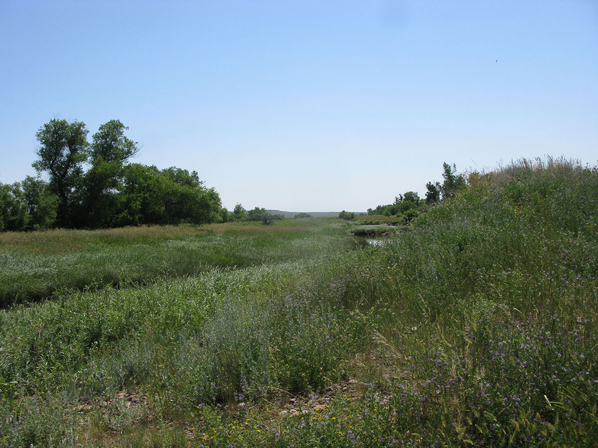 Prairie Creek Ranch property picture 22 of 35