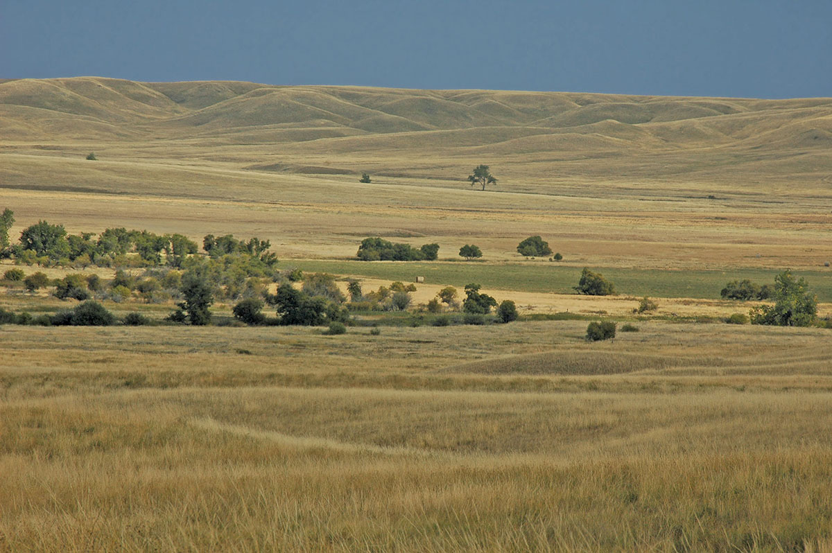 Prairie Creek Ranch property picture 2 of 35