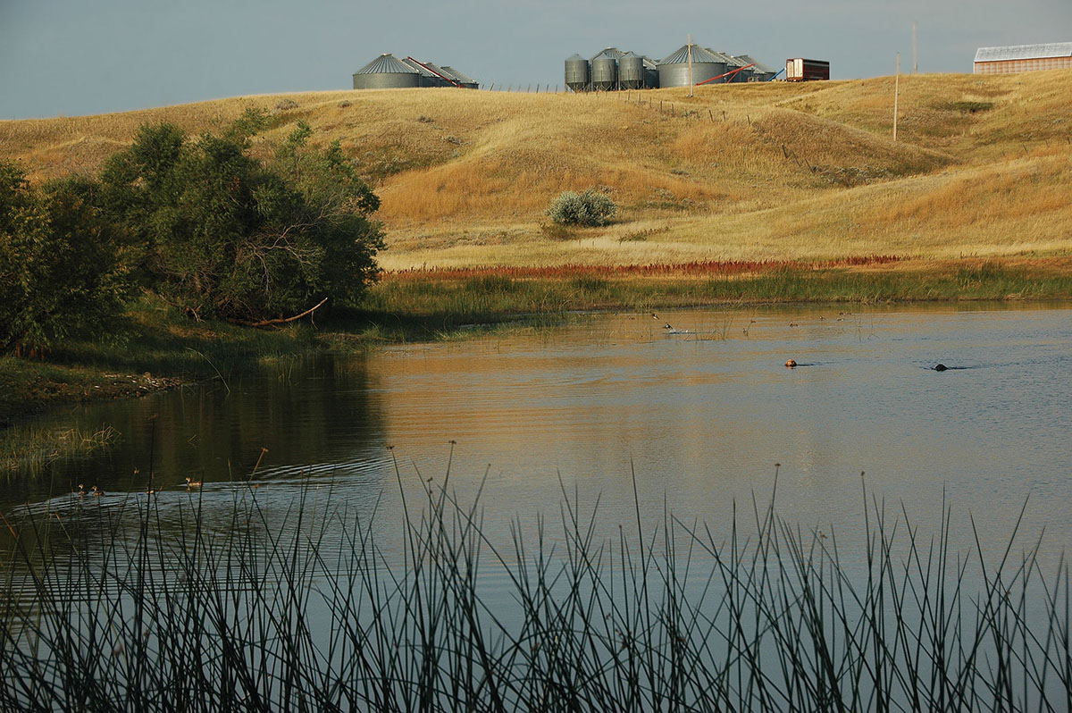 Prairie Creek Ranch property picture 19 of 35