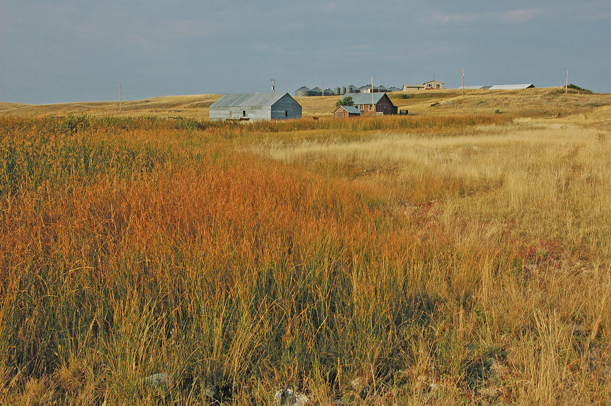 Prairie Creek Ranch property picture 18 of 35