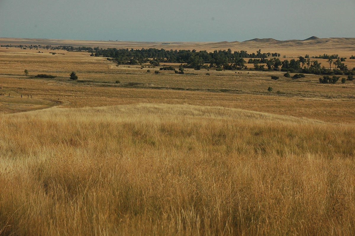 Prairie Creek Ranch property picture 17 of 35