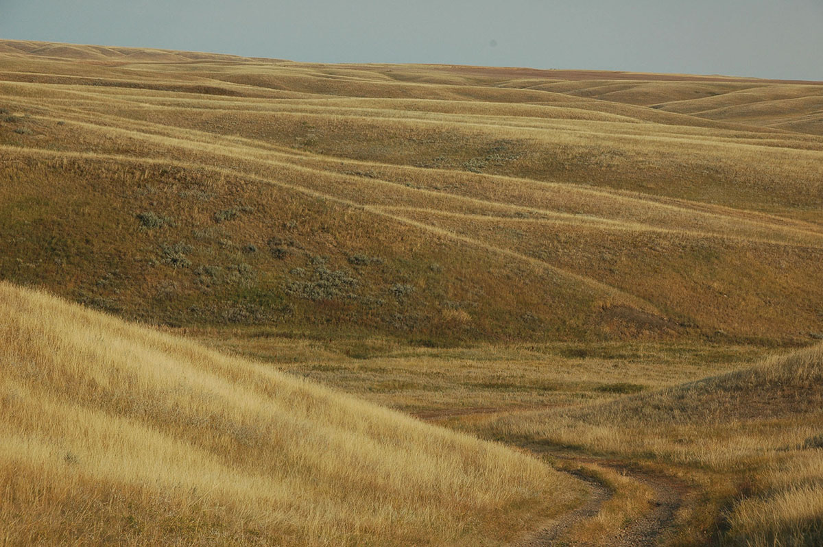 Prairie Creek Ranch property picture 16 of 35