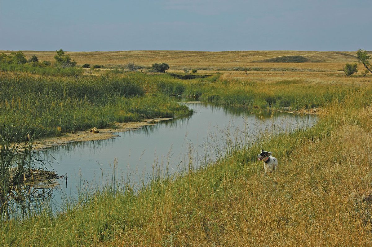 Prairie Creek Ranch property picture 13 of 35