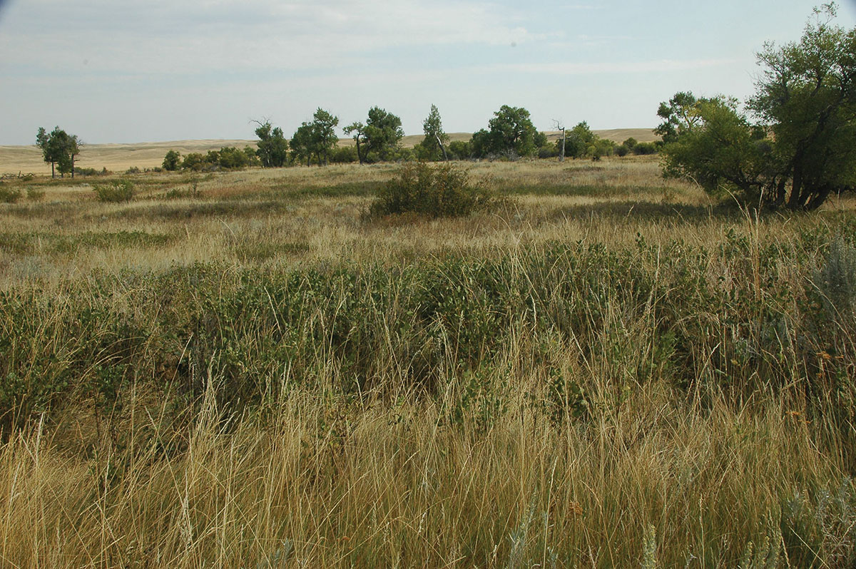 Prairie Creek Ranch property picture 12 of 35