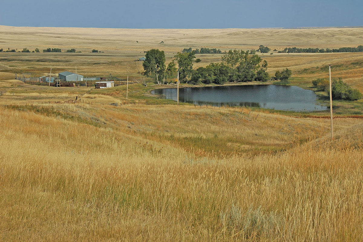 Prairie Creek Ranch property picture 10 of 35