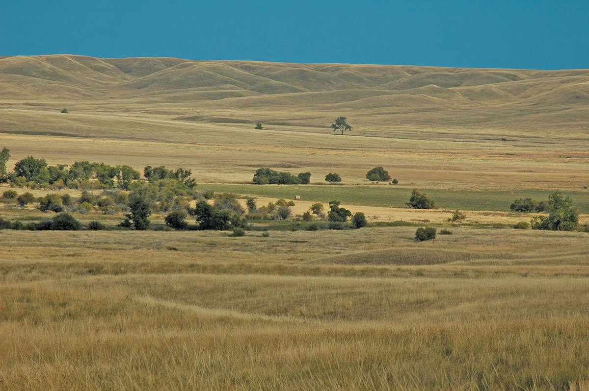 Prairie Creek Ranch property picture 8 of 35