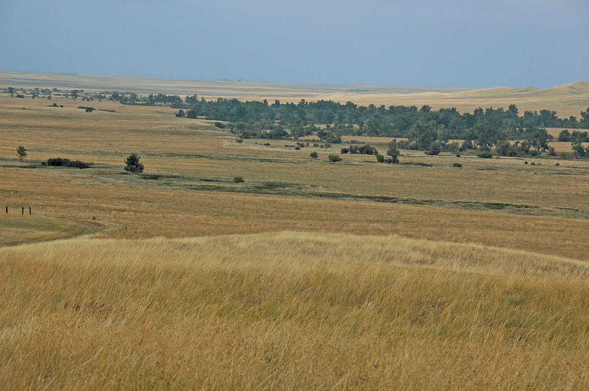 Prairie Creek Ranch property picture 7 of 35