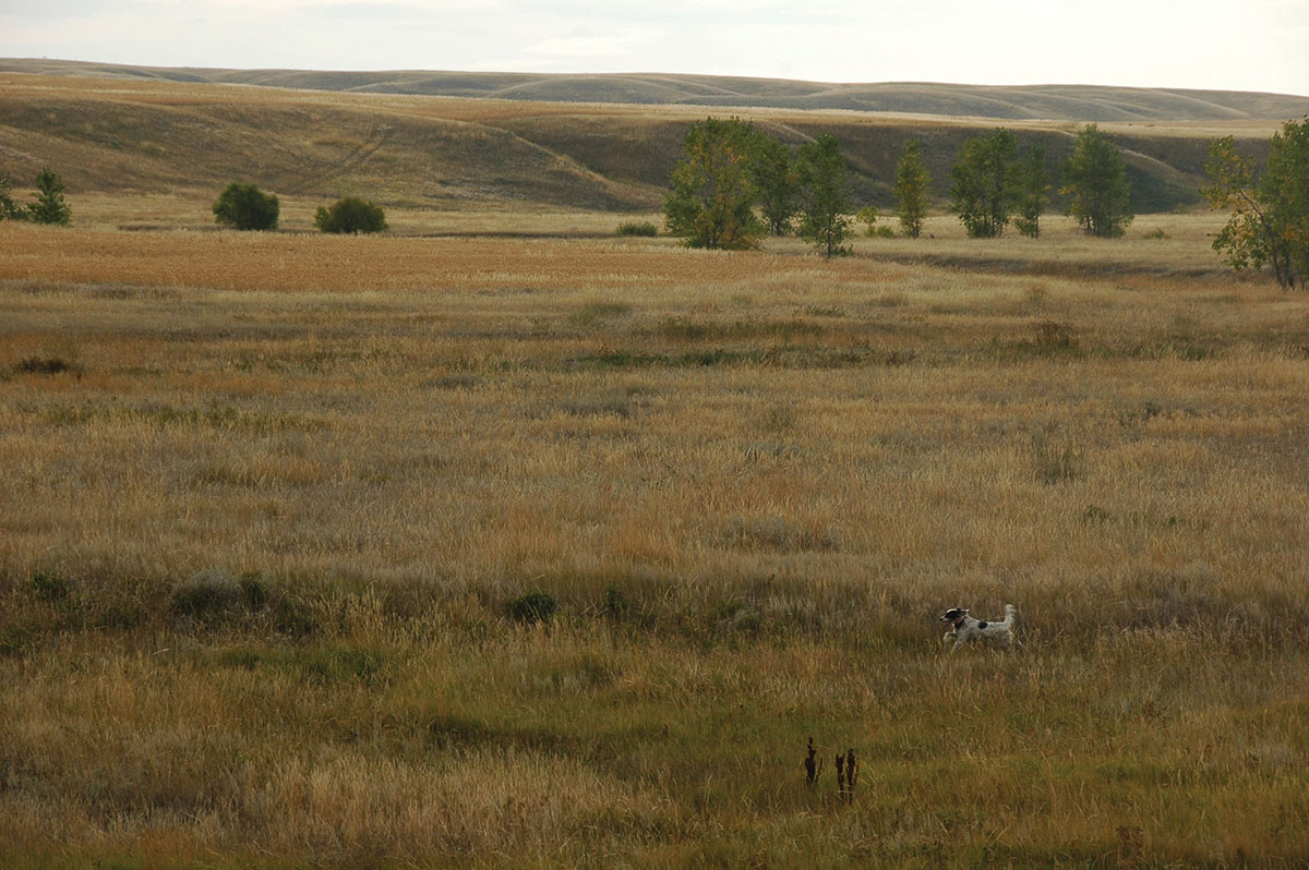 Prairie Creek Ranch property picture 6 of 35