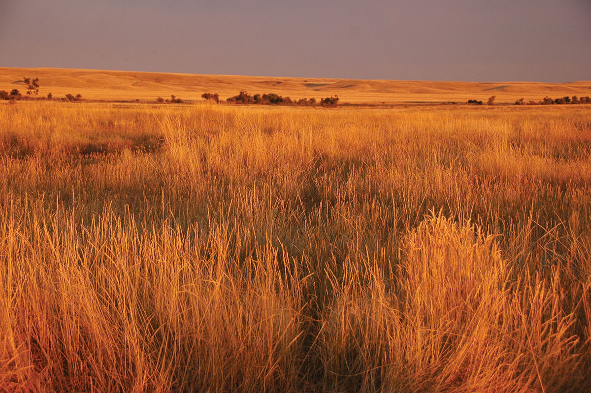 Prairie Creek Ranch property picture 34 of 35