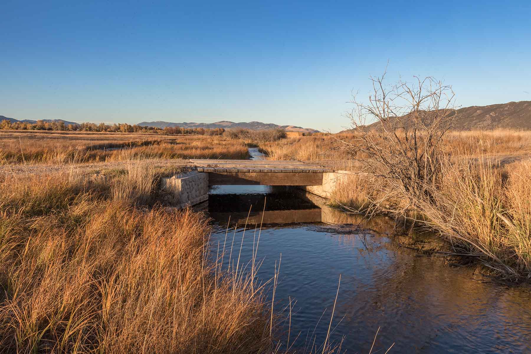 Circle 9 Spring Creek Ranch property picture 29 of 53