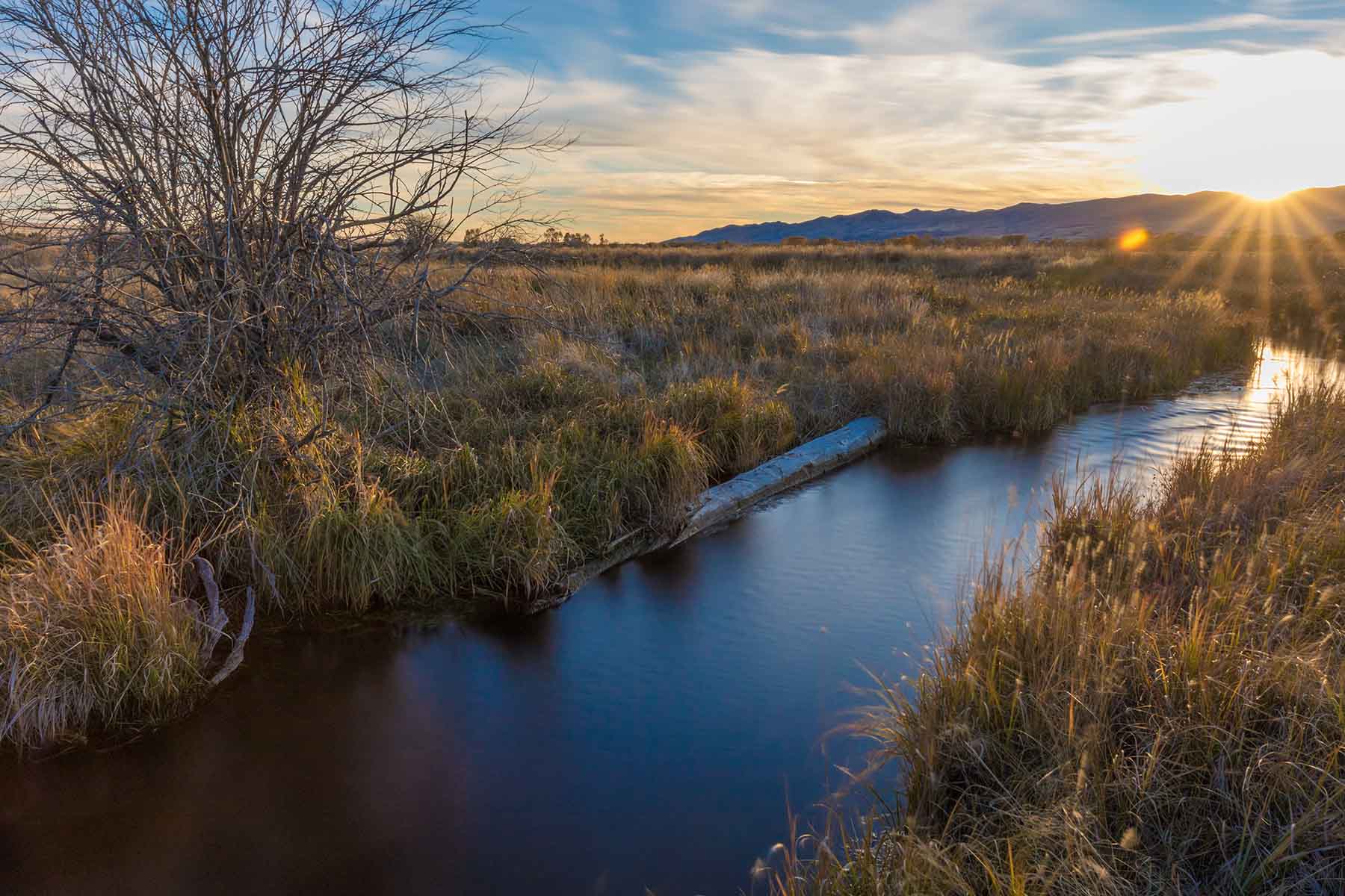 Circle 9 Spring Creek Ranch property picture 8 of 53