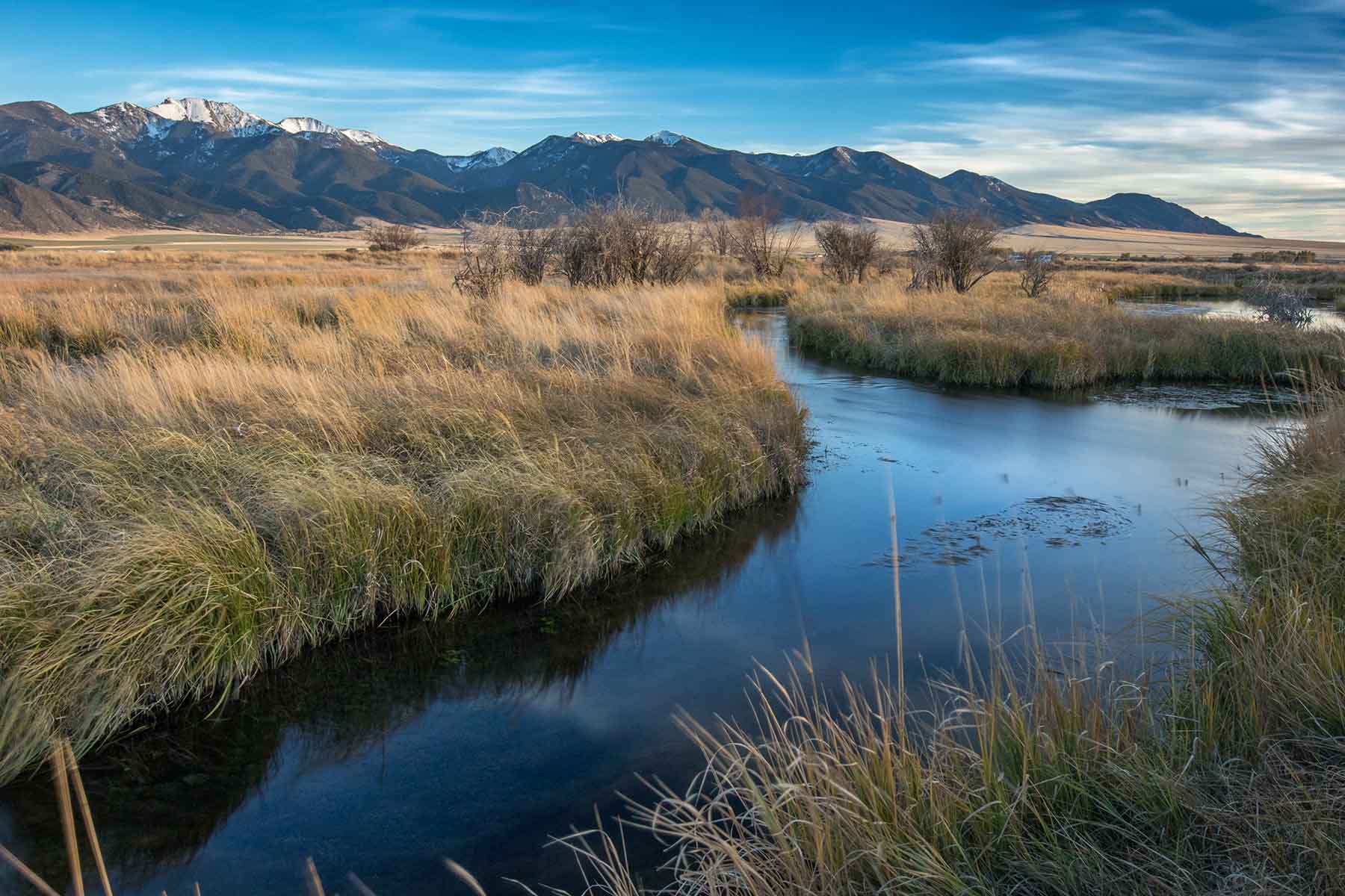 Circle 9 Spring Creek Ranch property picture 18 of 53