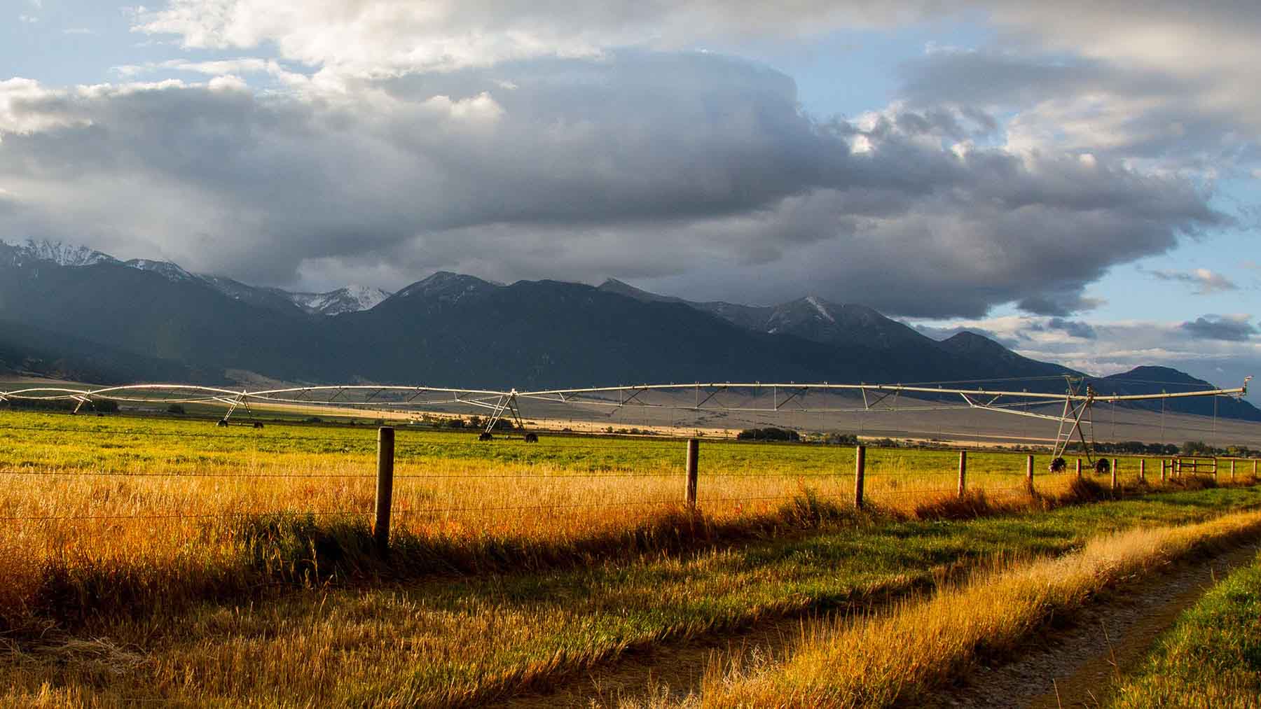 Circle 9 Spring Creek Ranch property picture 40 of 53