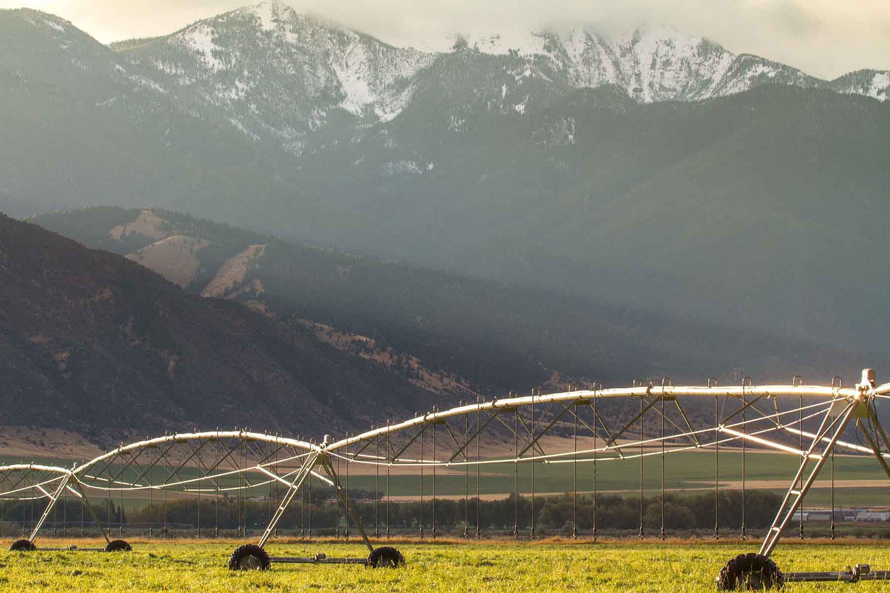 Circle 9 Spring Creek Ranch property picture 42 of 53