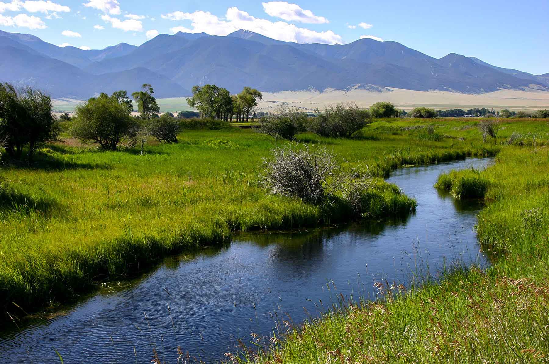 Circle 9 Spring Creek Ranch property picture 5 of 53