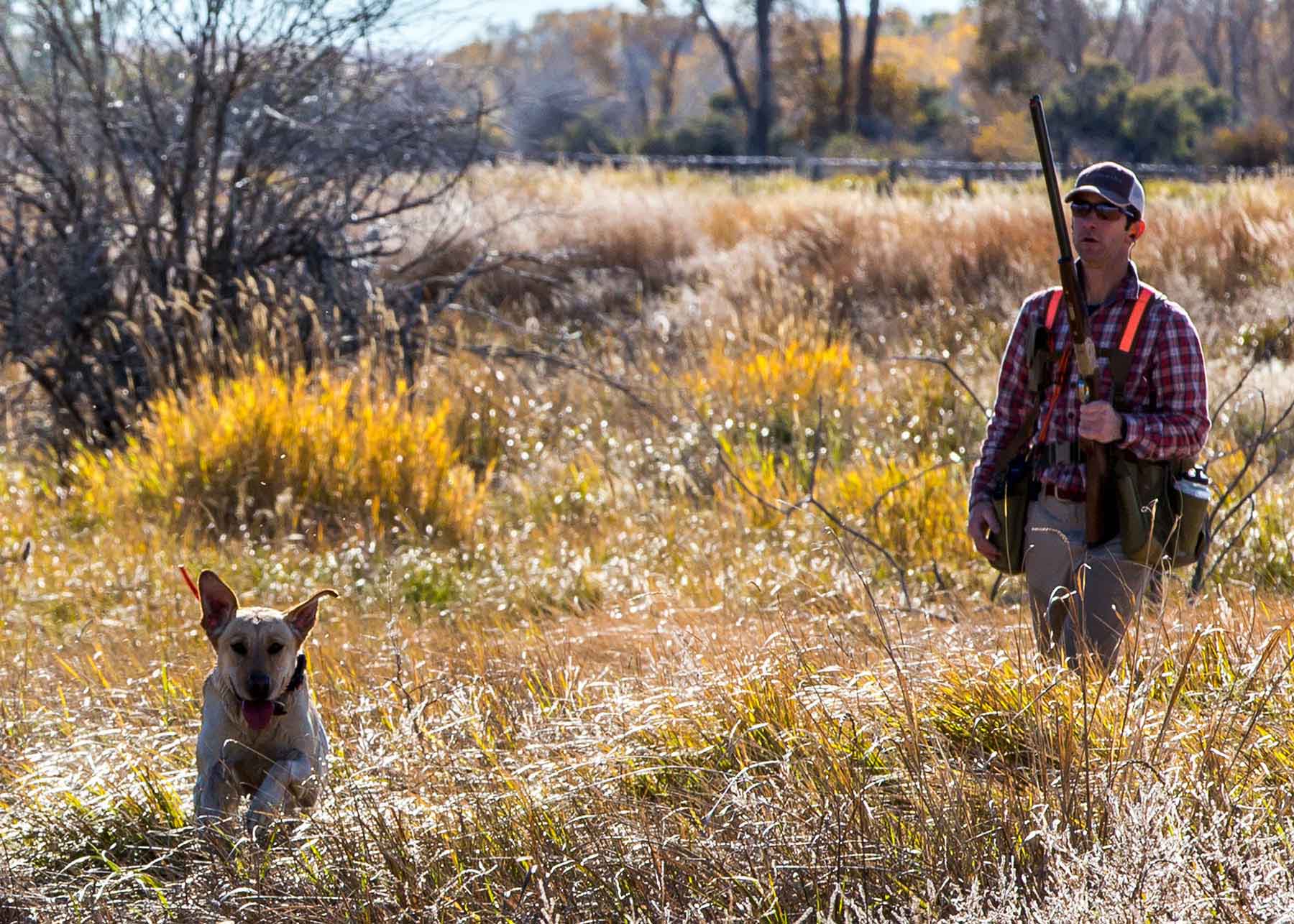 Circle 9 Spring Creek Ranch property picture 47 of 53