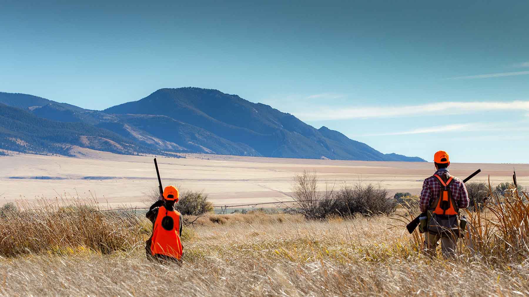 Circle 9 Spring Creek Ranch property picture 6 of 53