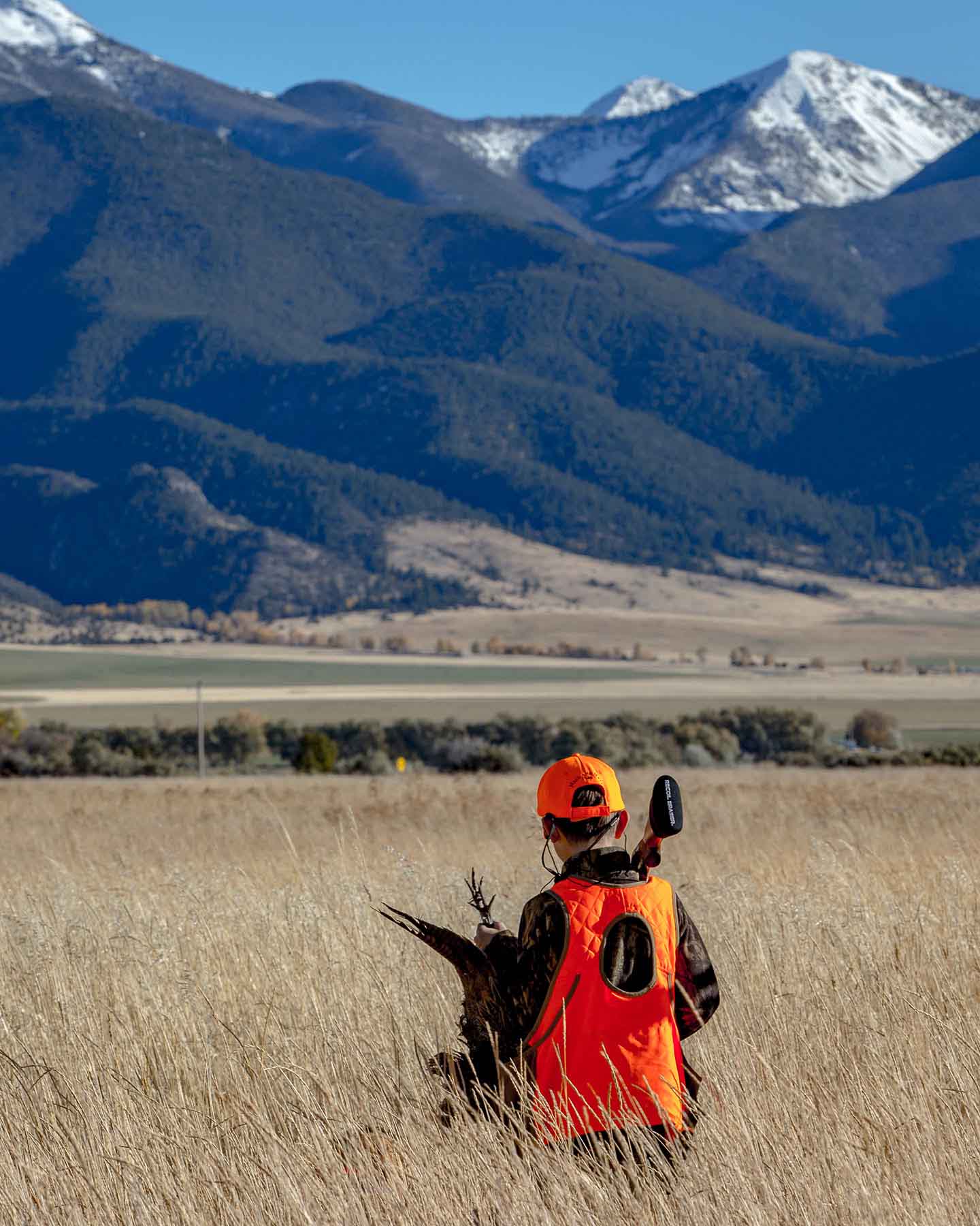 Circle 9 Spring Creek Ranch property picture 28 of 53