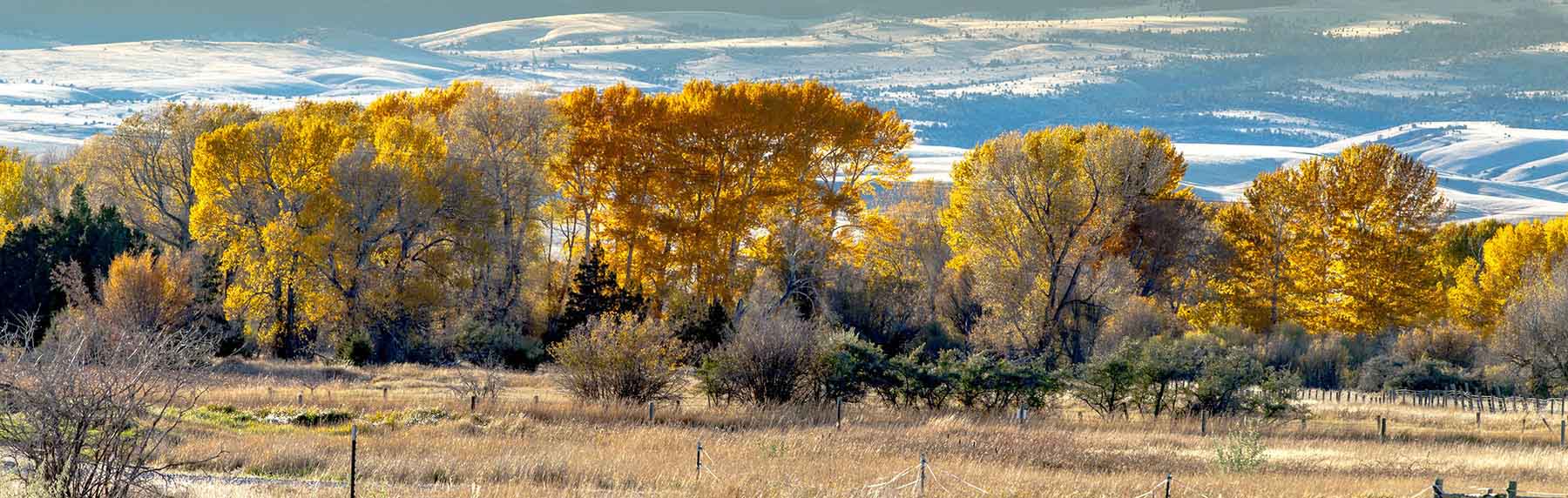 Circle 9 Spring Creek Ranch property picture 21 of 53